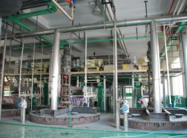 Show de fábrica (3)